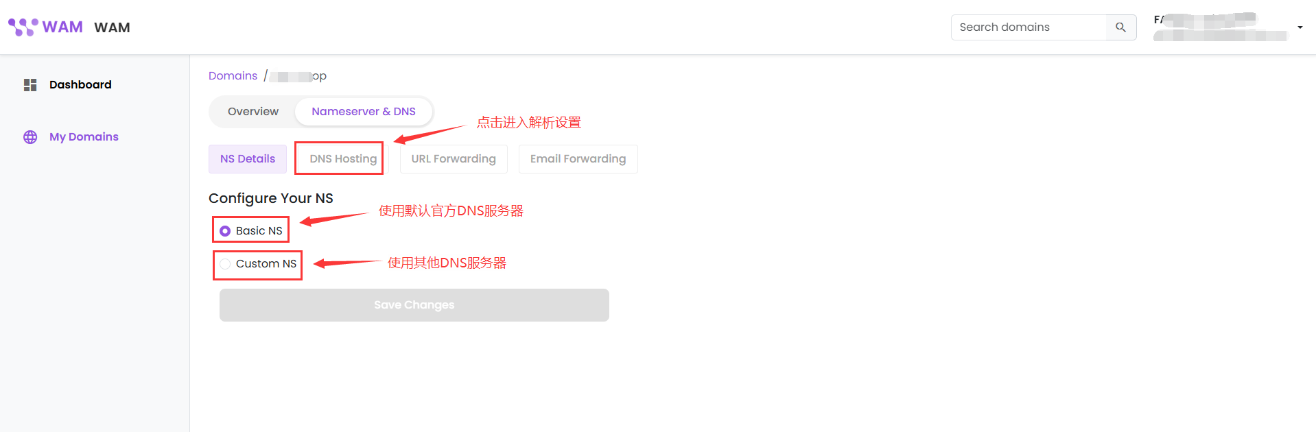设置官方 DNS 或自定义 DNS 服务器